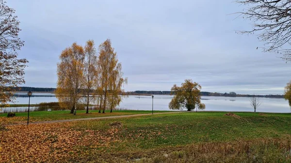 Landskap Naturen Skogsparken Intill Dammen Höstdag — Stockfoto