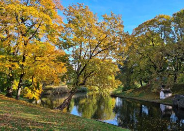 Small narrow canal in city park on quiet sunny autumn day.