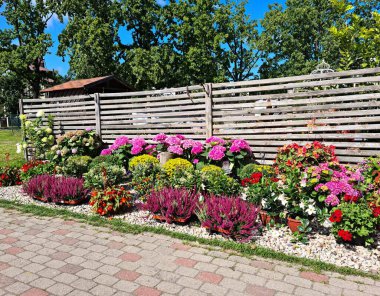Beautiful summer flowers are planted in unusual abstract-shaped vases outdoors for landscaping the yard.