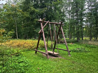 Large swing is installed on green grass in a forest park for children and adults.