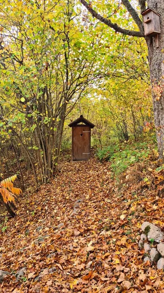 Маленькая Деревянная Туалетная Кабинка Среди Деревьев Желтыми Осенними Листьями — стоковое фото