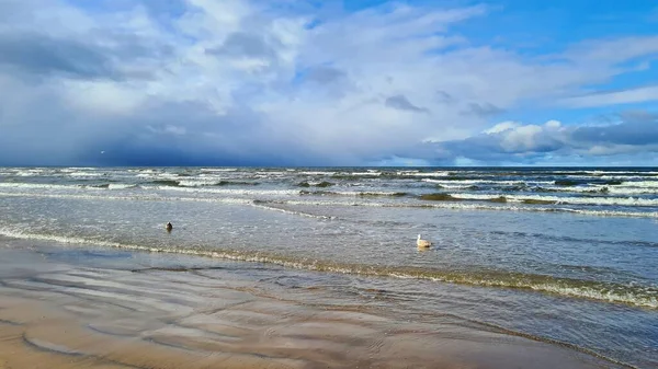 폭풍우가 모래가 해변에서 구름낀 하늘을 흐르는 갈매기 — 스톡 사진