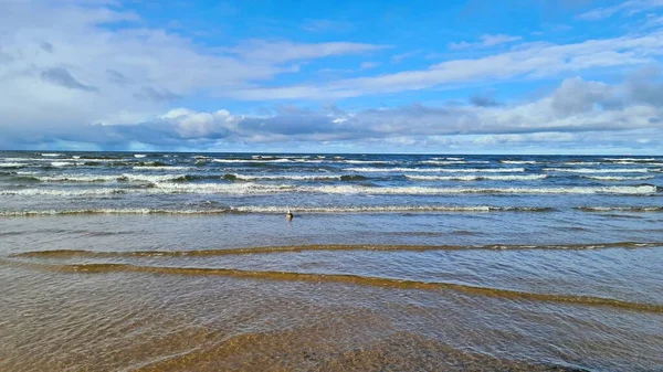 Mewy Piaszczystym Brzegu Burzliwego Morza Przeciwko Bardzo Zachmurzonemu Niebu — Zdjęcie stockowe
