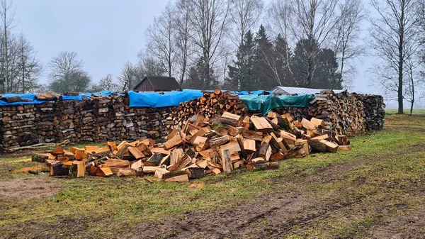 Grandes Pilas Leña Picada Preparadas Para Temporada Invierno Los Pueblos — Foto de Stock