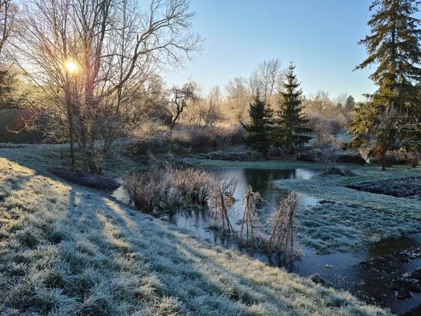 Trees Grass Earth Covered White Frost Sunrise Winter Day — Stock Photo, Image