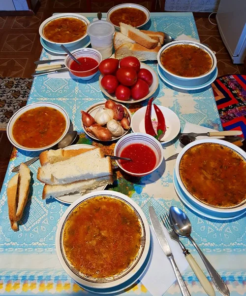 大きなテーブルの上のプレートでおいしいロシアのボルシチは 村で昼食のために調理されています — ストック写真