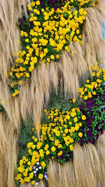 Schöne Leuchtend Gelbe Blumen Verflochten Mit Getrocknetem Gras Der Wand — Stockfoto