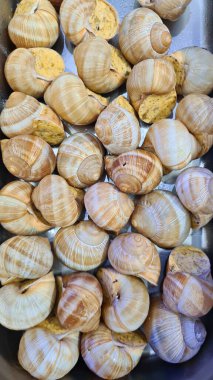 Böyle lezzetli aşıklar için deniz ürünleri lokantasında pişirilmiş salyangozlar..