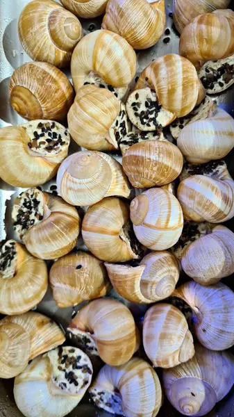 Escargots Cuits Dans Restaurant Fruits Mer Pour Les Amateurs Telles — Photo