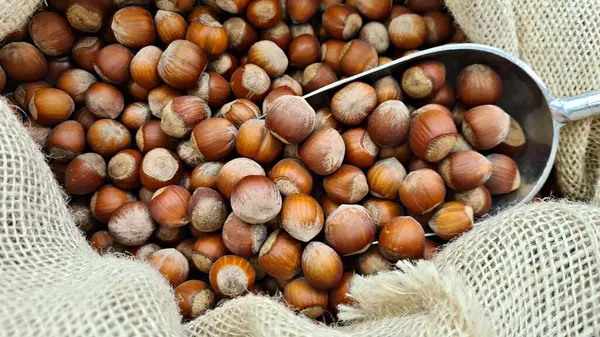 Healthy hazelnuts are packed into bags for sale at the market.