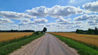 Yol olgunlaşmış mahsul tarlalarının arasına kadar uzanıyor..