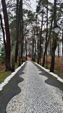 Soğuk bahar gününde ağaçlar arasında mozaiklerle döşenmiş dar yürüyüş yolu.