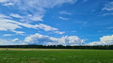 Büyük tarlada yeşil çimenler ve kümülüs beyaz bulutlarla mavi gökyüzü..