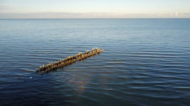 Tahta yığınları tahrip edilmiş küçük bir deniz iskelesinden. Sudan çıkan bir çıkıntı..