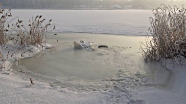 Winter landscape on the bank of river covered with ice on frosty day. clipart