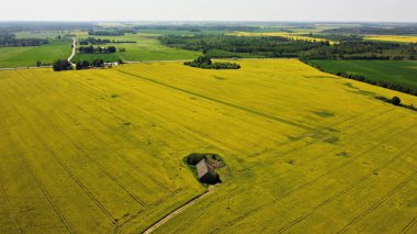 Sonu gelmeyen kolza tohumu tarlaları yaz başında sarı çiçeklerle çiçek açtı..