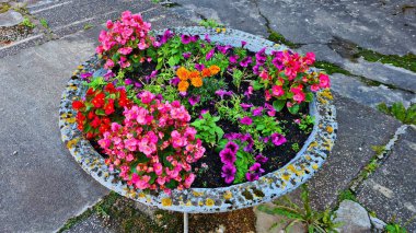 Çiçeklerin açtığı büyük taş kase evin bahçesine güzellik olsun diye konur..