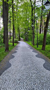 Yürüme yolları ormandaki çam ağaçları arasında gençler ve yaşlılar için rahat ve güvenlidir..