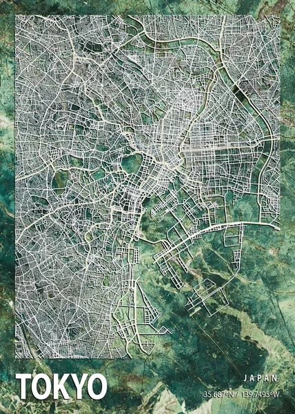 Tokio Japón Gloxinia Marble Map Hermoso Estampado Las Ciudades Más — Foto de Stock