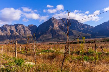 beautiful landscape with mountain in the background