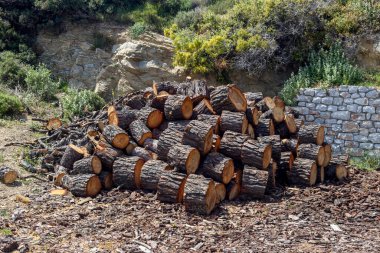 Kesilmiş büyük bir odun yığını yakın plan yerde yatıyor (arka plan))