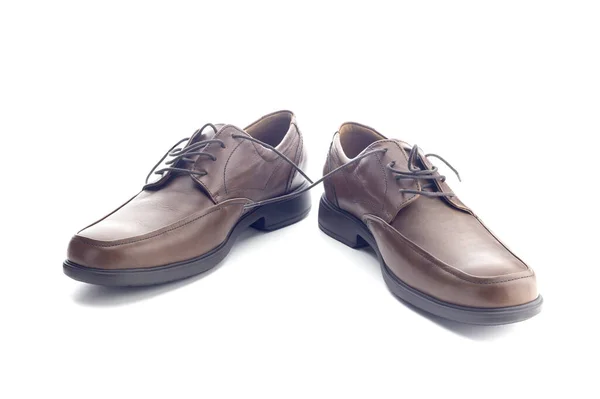 Een Paar Nieuwe Bruine Klassieke Mannelijke Schoenen Een Witte Achtergrond — Stockfoto
