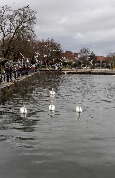 Bulutlu, yağmurlu bir kış gününde, Ioannina (Epirus bölgesi, Yunanistan) kentindeki toprak setinin manzarası, pek çok kuş ve Pamvotis Gölü