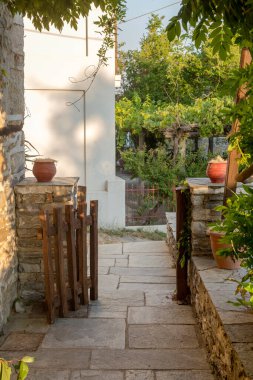 Çiçeklerle dolu küçük, rahat bir teras, asfalt bir yol ve güneşli bir yaz sabahında ahşap bir kapı.