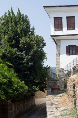 Güneşli bir yaz gününde geleneksel evleri olan Pinakates (Güney Pelion) dağ köyünün manzarası (Magnesia ili, Yunanistan))