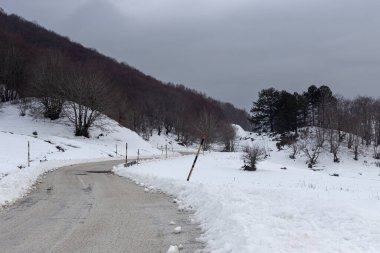 Dağlarda kış. Dağlık bölgelerdeki (Epirus bölgesi, Yunanistan) orman ve kışın, soğuk ve karlı bir günde köy yolu