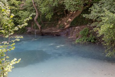 A mountain, cold, fast river flows in the middle of the forest on a sunny, summer day (region of Epirus, Greece). clipart