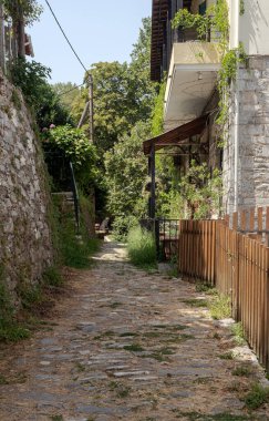 Güneşli bir yaz gününde geleneksel evlerle dağların (Güney Pelion) manzarası (Magnesia ili, Yunanistan))