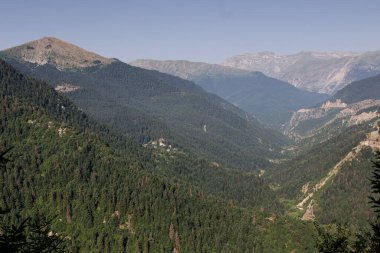 Dağ manzarası. Güneşli bir yaz gününde güney Pindos 'un yeşil dağlarının manzarası (Yunanistan, Trikala)
