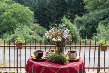 Yazın, güneşli bir günde, ormanda, bir masada fincanlarda bitki çayı.