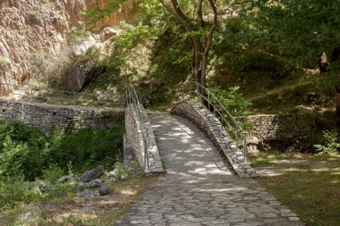 Güneşli bir yaz gününde, bir dağ ormanı ve taş köprüsünde (Güney Pindos Dağı, Yunanistan) küçük bir nehir taşların arasında akar.