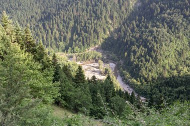 Beyaz Nehir (Aspropotamos), güneşli bir yaz gününde, dokunulmamış doğa (Trikala, Yunanistan) arasında gölgeli bir vadide akar.