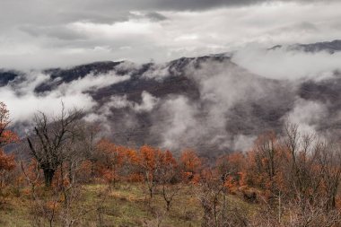 Bulutlu bir kış gününde çınar ağaçlarıyla kaplı güzel dağlar (Epirus, Yunanistan)