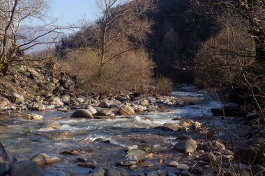 A small, mountain, cold, fast river with a waterfall flows among the forest on a sunny, winter day (Greece, Thessaly).