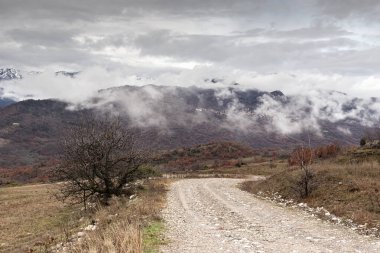 Bulutlu, sisli ve kış günlerinde yüksek, pitoresk dağlar, yalnız bir ağaç ve toprak bir yol (Yunanistan, Epirus) manzarası