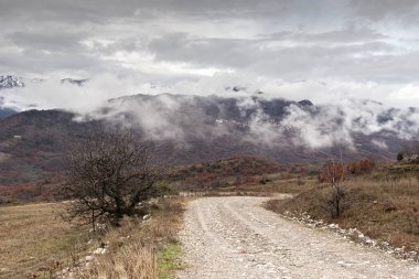 View of high, picturesque mountains and a lonely tree and a dirt road (Greece, Epirus) on a cloudy, foggy and winter day clipart