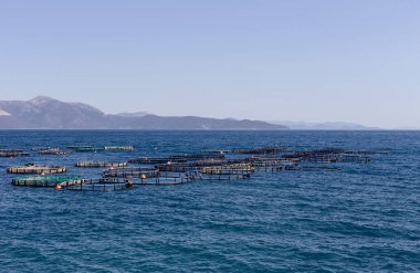 Yiyecek endüstrisi. Açık denizde büyüyen balıklar, balık, dağ ve deniz manzarası (Yunanistan)