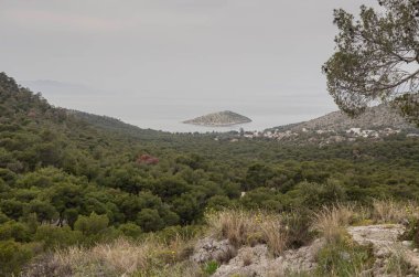 Deniz Burnu. Panoramik, yukarıdan güzel bir çam ormanı, deniz ve küçük ada manzarası (Yunanistan, Salamis Adası) bulutlu bir bahar gününde