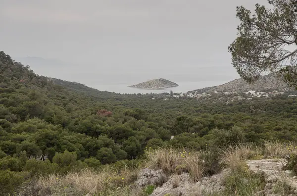 Deniz Burnu. Panoramik, yukarıdan güzel bir çam ormanı, deniz ve küçük ada manzarası (Yunanistan, Salamis Adası) bulutlu bir bahar gününde