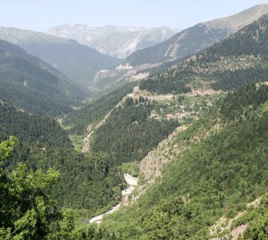 Beyaz Nehir (Aspropotamos), güneşli bir yaz gününde, dokunulmamış doğa (Trikala, Yunanistan) arasında gölgeli bir vadide akar.