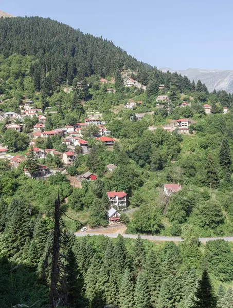 Güneşli bir yaz gününde dağların, köyün, ladin ormanlarının ve kırsal yolun manzarası (Güney Pindos Dağı, Yunanistan)