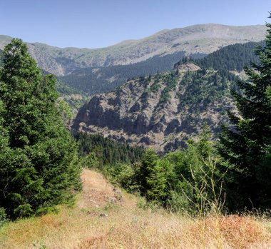 Dağ manzarası. Güneşli bir yaz gününde güney Pindos 'un yeşil dağlarının manzarası (Yunanistan, Trikala)
