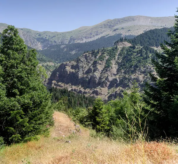 Dağ manzarası. Güneşli bir yaz gününde güney Pindos 'un yeşil dağlarının manzarası (Yunanistan, Trikala)