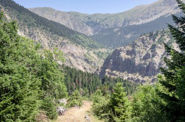 Dağ manzarası. Güneşli bir yaz gününde güney Pindos 'un yeşil dağlarının manzarası (Yunanistan, Trikala)