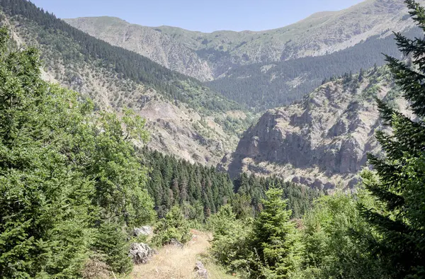 Dağ manzarası. Güneşli bir yaz gününde güney Pindos 'un yeşil dağlarının manzarası (Yunanistan, Trikala)
