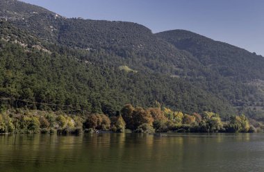 Sonbahar ve güneşli bir günde Ioannina (Yunanistan 'ın kuzeybatısı) ve Pamvotis Gölü' nün güzel manzarası
